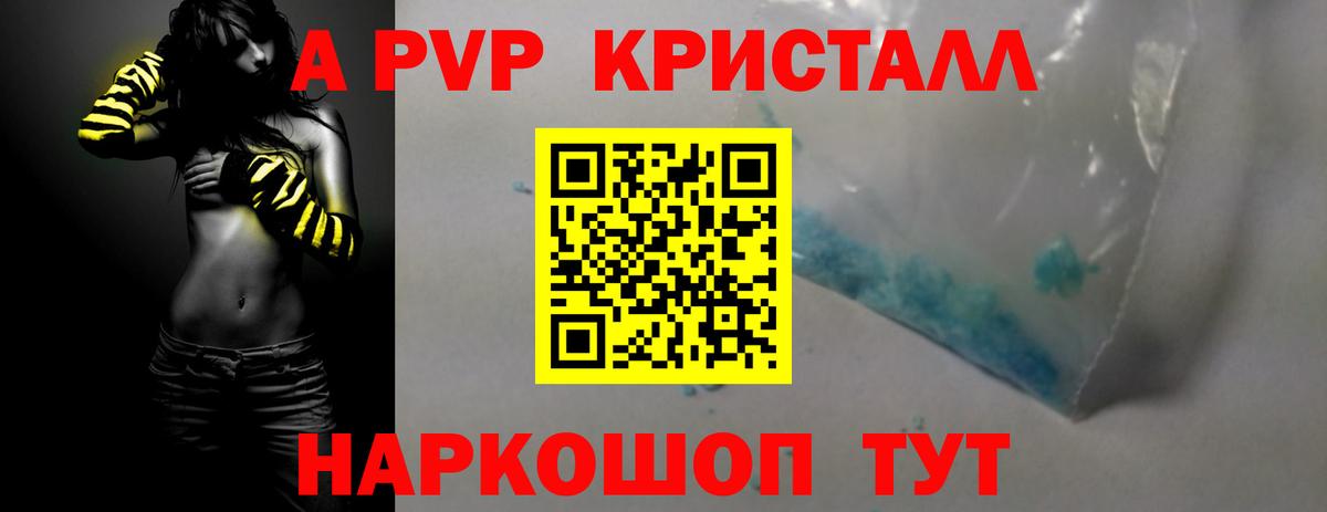 Можга  Альфа ПВП СК  Вход с VPN  APVP крисы CK 