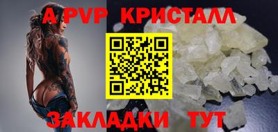 spice Гай