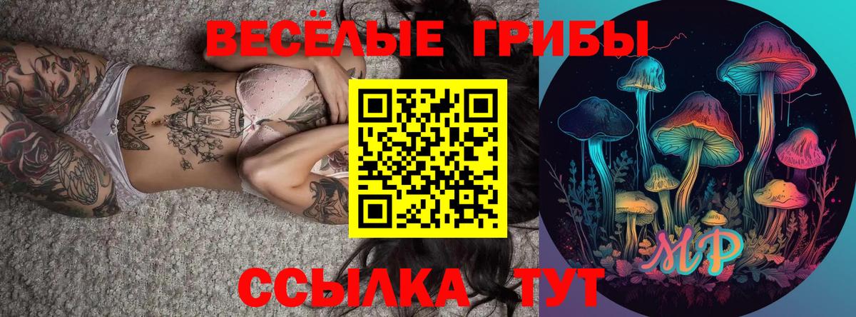 Галлюциногенные грибы мухоморы Можга